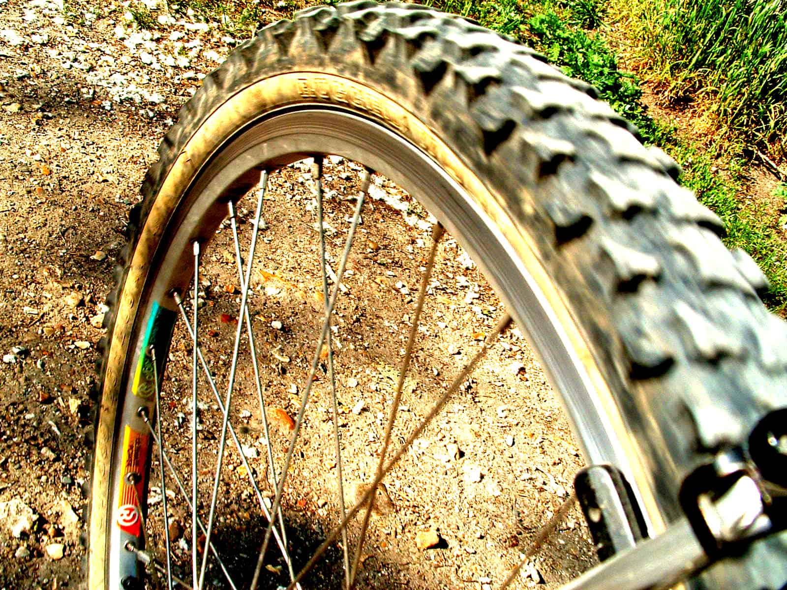 Activité – Sortie VTT Une sortie VTT pour un enterrement de vie de garçon sportif.