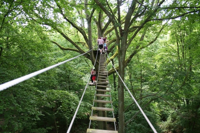 Activité – Accrobranche Faire de l'accrobranche pour son enterrement de vie de célibataire