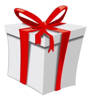 Cadeaux pour un enterrement de vie de celibataire Cadeau et récompense d'enterrement de vie de célibataire