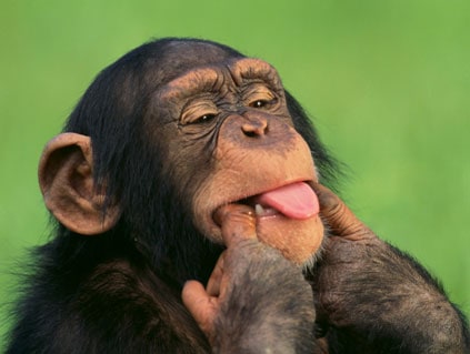 Gage #31 – De drôles photos a vendre… Vendre des photos avec des grimaces : un défi pour les mariés