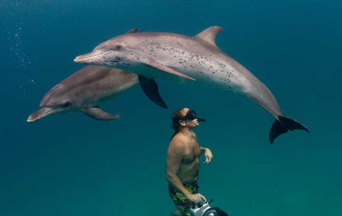 Activité – réaliser un rêve d’enfance Nager avec les dauphins, toucher un serpent, etc... Réaliser le rêve d'enfant des mariés !